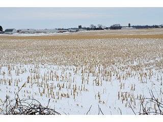 Property photo 13 - AUCTION, 206 Contiguous Acres offered in 5 Tracts